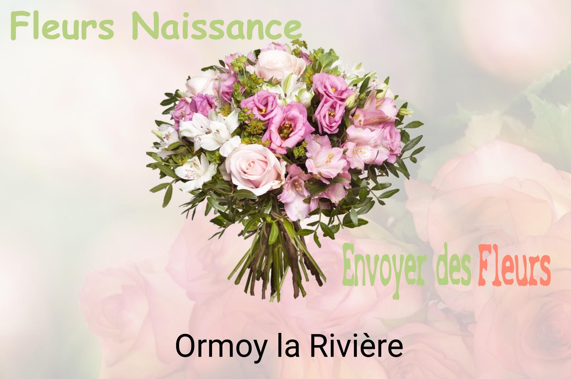 Bouquet de fleurs de naissance livré à Ormoy-la-Rivière